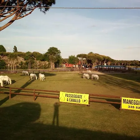 Mare Pineta
